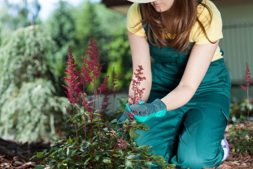 Gardening company representative offering a free quote