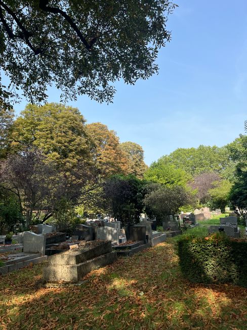 A section of a cemetery garden featuring weathered gravestones of varying heights and shapes, some with visible inscriptions and moss growth. The gravestones are surrounded by lush green foliage, incl